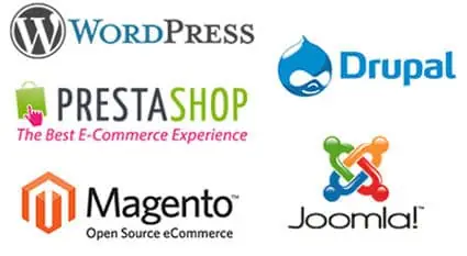 طراحی سایت با CMS